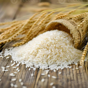 Rice (Paddy)